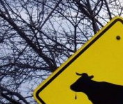 What Does This Sign Mean?
